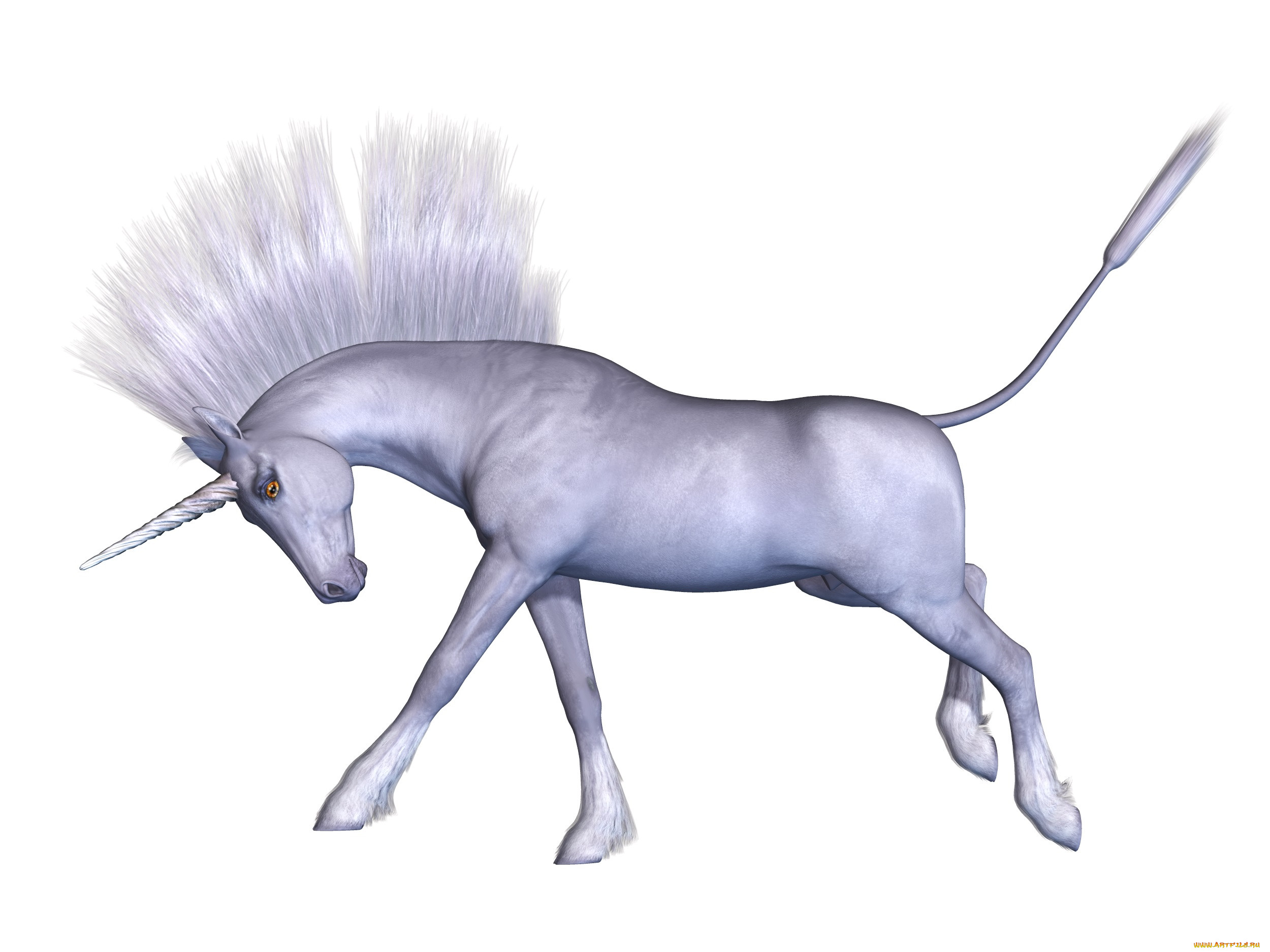 3 ,  , animals, , , , 